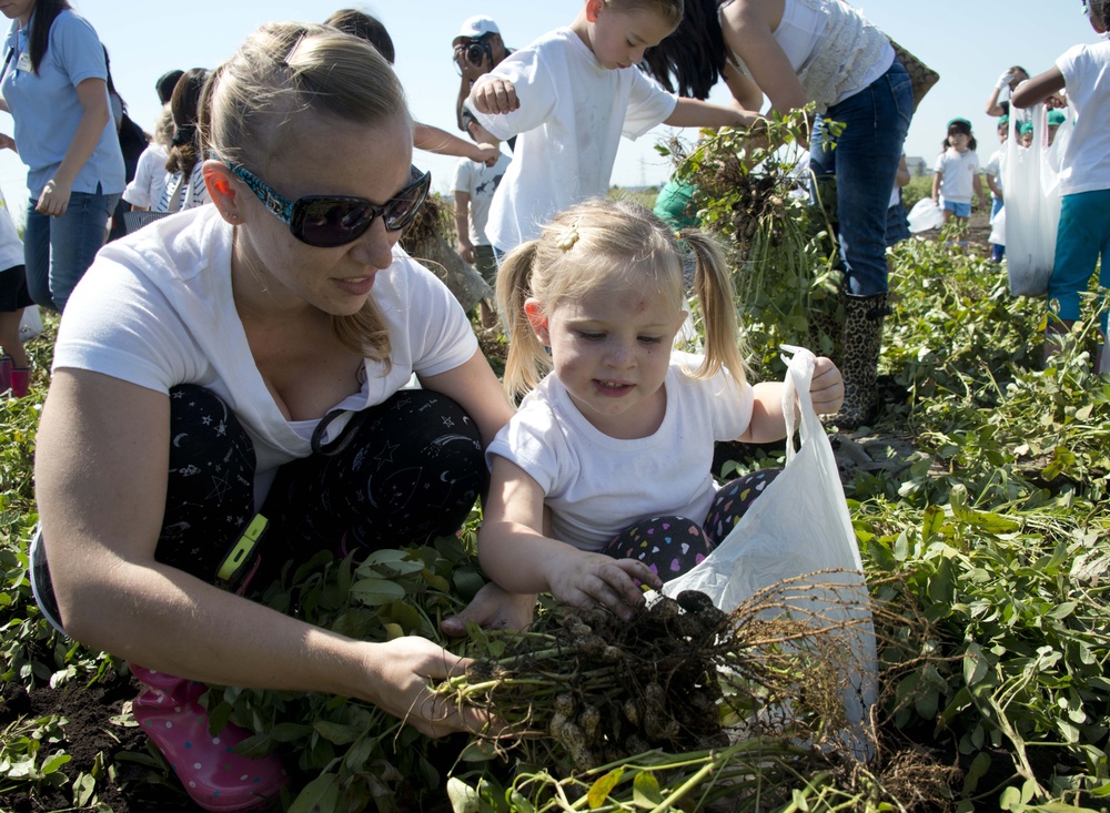 CDC children go peanut picking with children of local communities