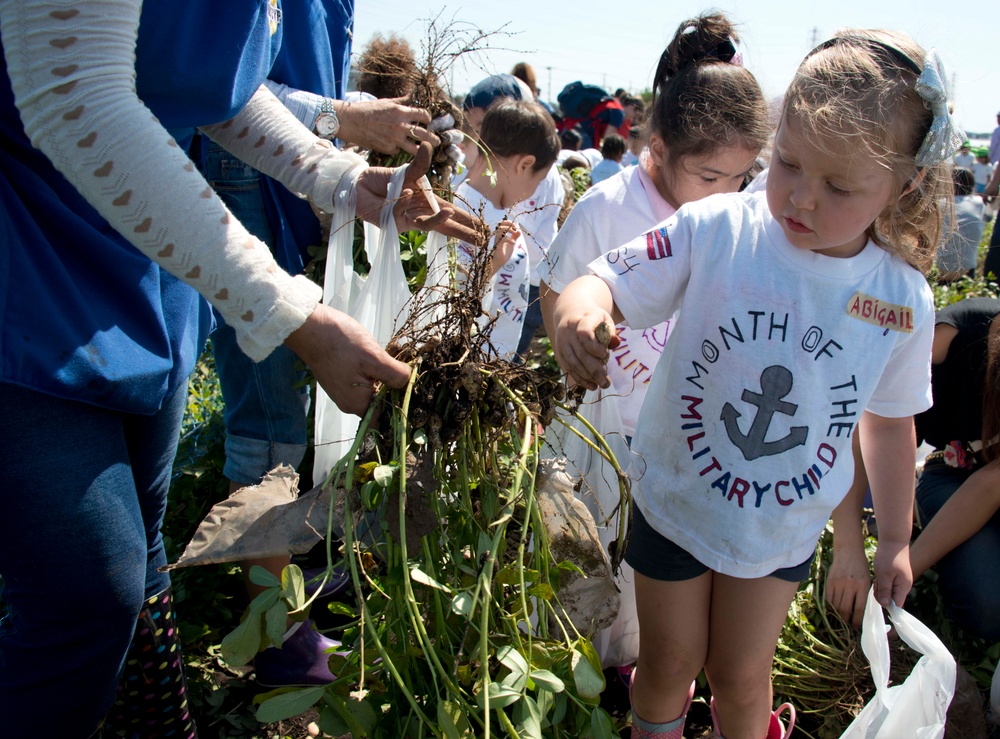 CDC children go peanut picking with children of local communities