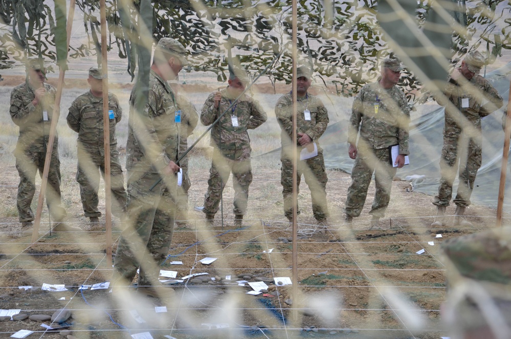 Operation Didgori 2013