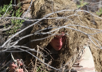 Marines conduct sniper training alongside British counterparts