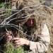 Marines conduct sniper training alongside British counterparts