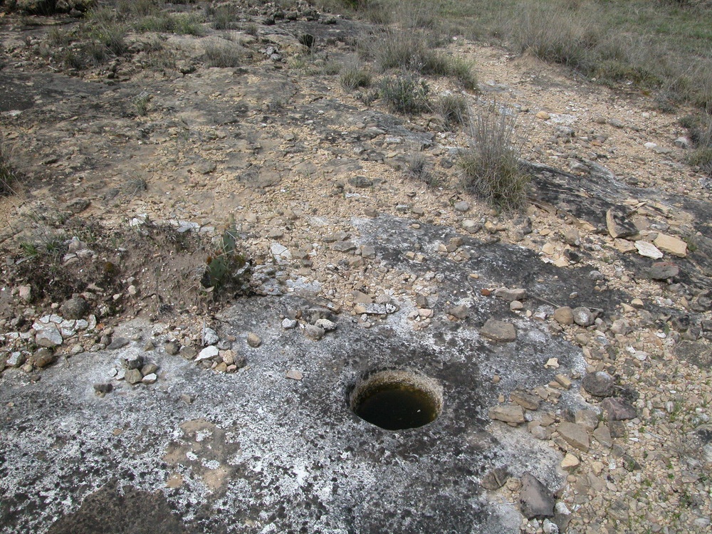 Texas Military Forces preserving ancient Texas history