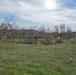 Texas Military Forces preserving ancient Texas history