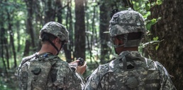 Scouts conduct field training, exercise reconnaissance skills