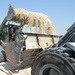 Seabee construction project NSA Bahrain