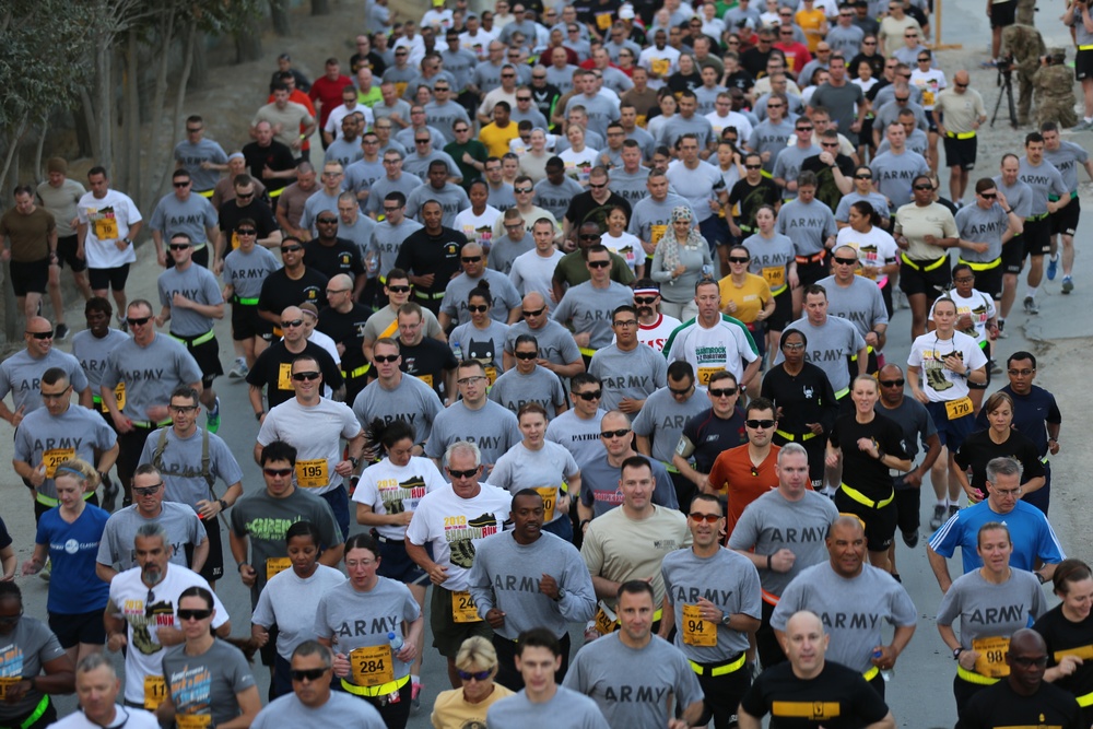 2013 Army 10-Miler shadow run