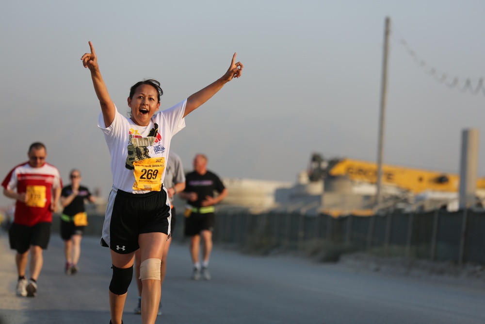 2013 Army 10-Miler shadow run