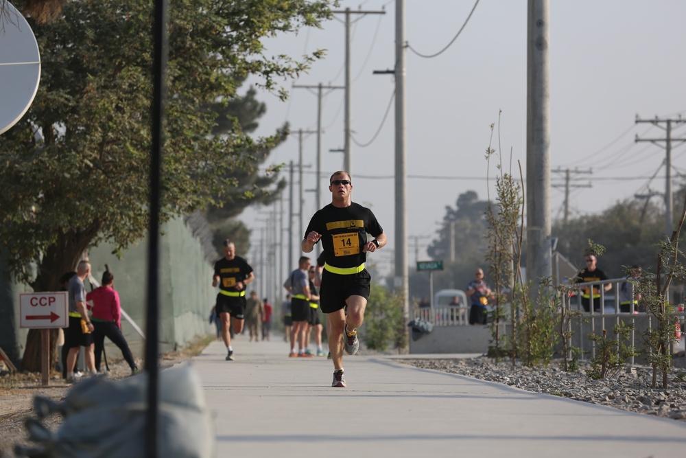 2013 Army 10-Miler shadow run