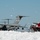 Flurry of foam released at Travis A U.S. Air Force C-17 Globemaster III military transport aircraft is parked on a snow-covered airfield alongside a red Airport Rescue and Fire Fighting (ARFF) vehicle numbered '11'. The scene appears to be at a military air base during or after a significant snowstorm, with snow particles visible in the air. Multiple aircraft are visible in the background, suggesting a large military flight line.