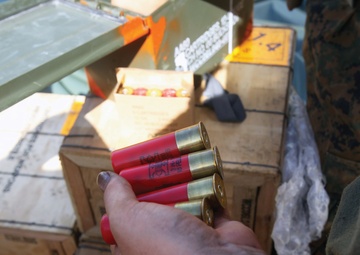 Ammunition technicians stand FASP