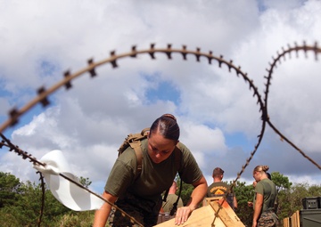 Ammunition technicians stand FASP