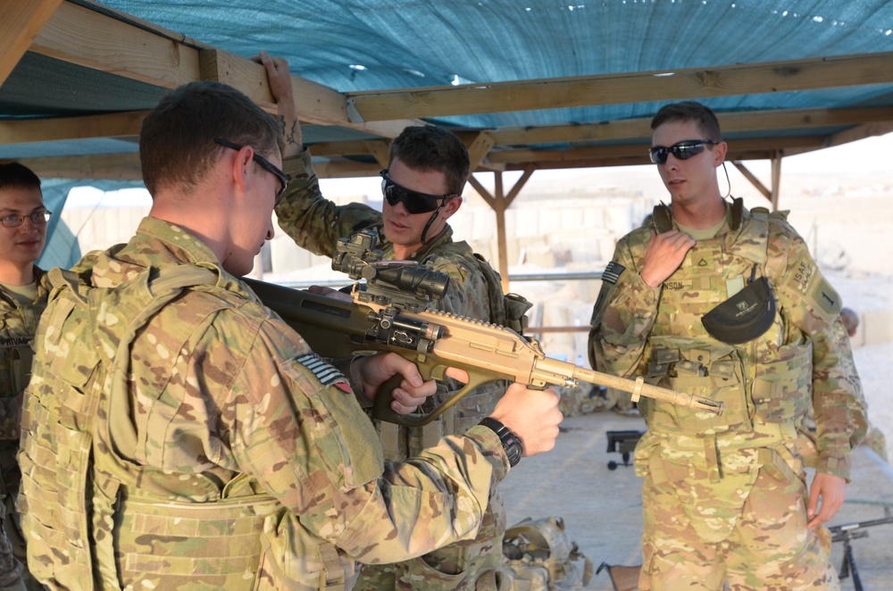 RAAF Demonstrates Weapons to Task Force Gunfighters