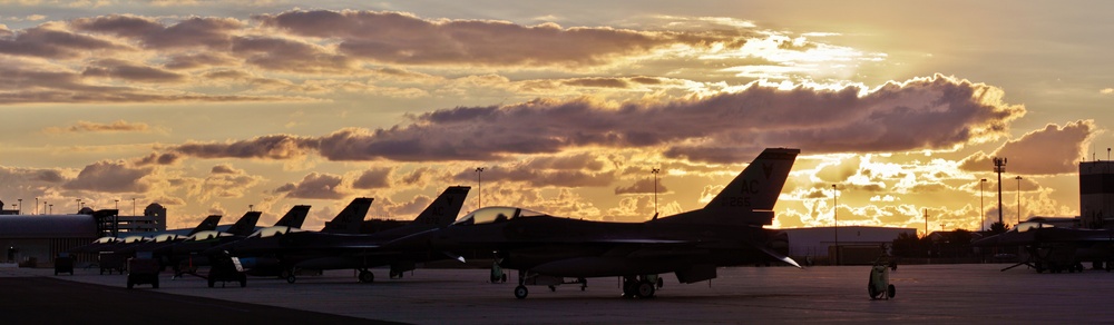 Early morning Vipers