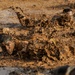 5K Mud Run