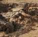 5K Mud Run