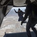 Parachute jump training