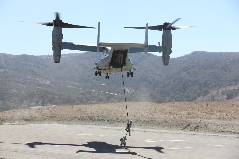 Greyhawks conduct fast roping exercise