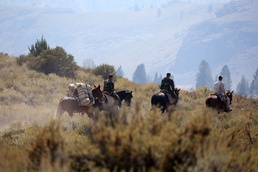 Mountain Warfare Training Center teaches advanced horsemanship