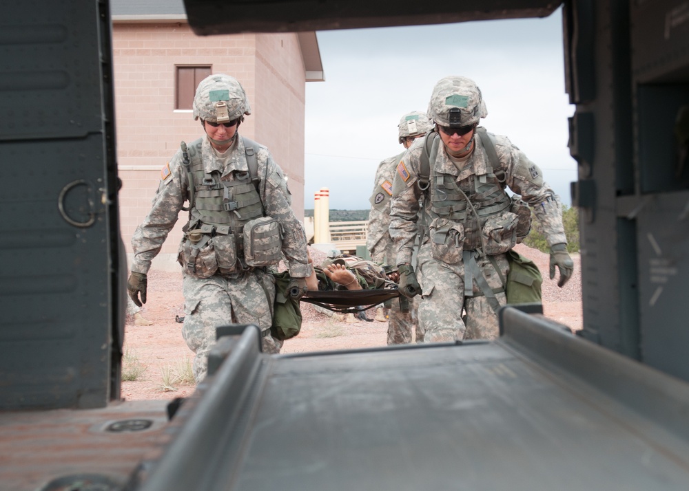 Expert Field Medical Badge tests Fort Carson's best