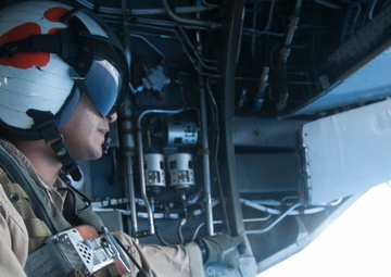 Phrogs finish final flight
