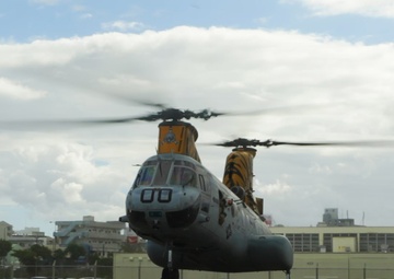 Phrogs finish final flight