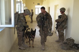 Military working dog helps protect service members