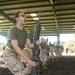 Marine recruits train in martial arts on Parris Island