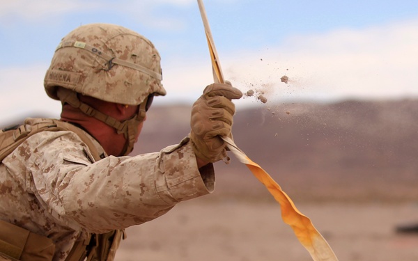 Combat Assault Battalion keeps 'Island Warriors' training