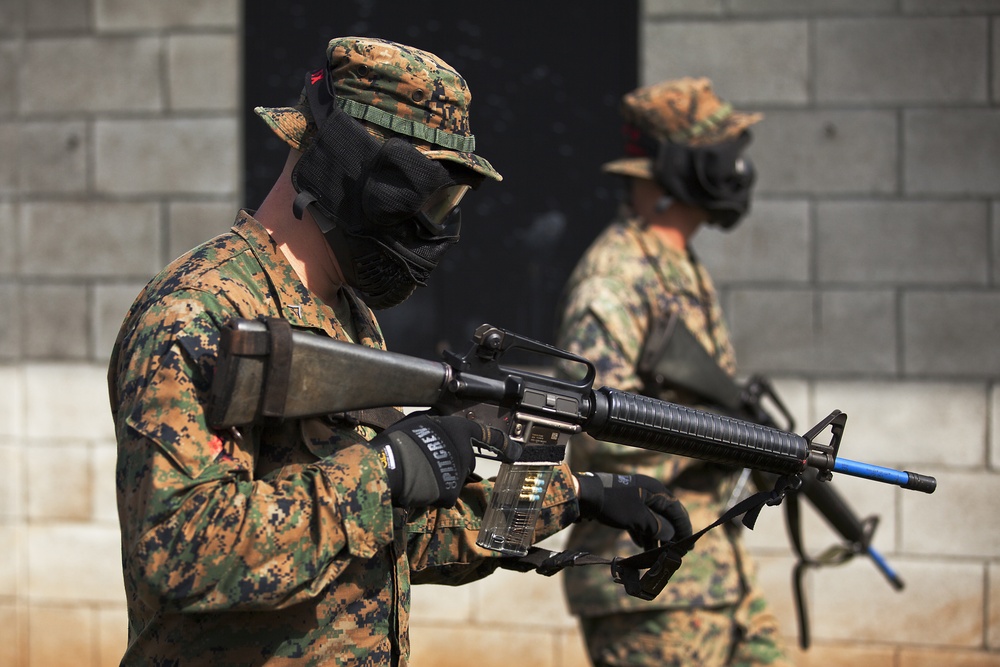 'Lava Dogs' instill squad-level tactics in new Marines