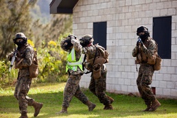 'Lava Dogs' instill squad-level tactics in new Marines