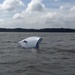 Coast Guard rescues 2 boaters from capsized sailboat near Ocean City, Md.