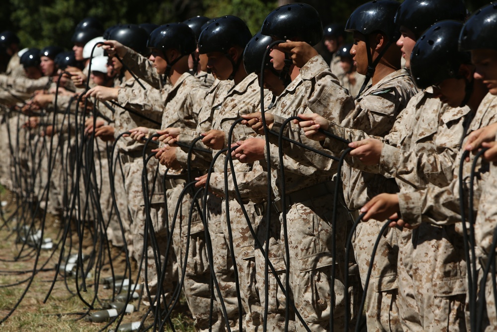 Photo Gallery: Marine recruits gain confidence on Parris Island rappel tower