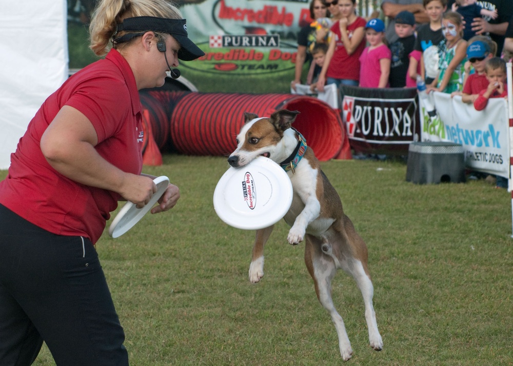 Mumfest to return to New Bern