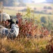 1-91 Cavalry Regiment (Airborne) recon training in Germany