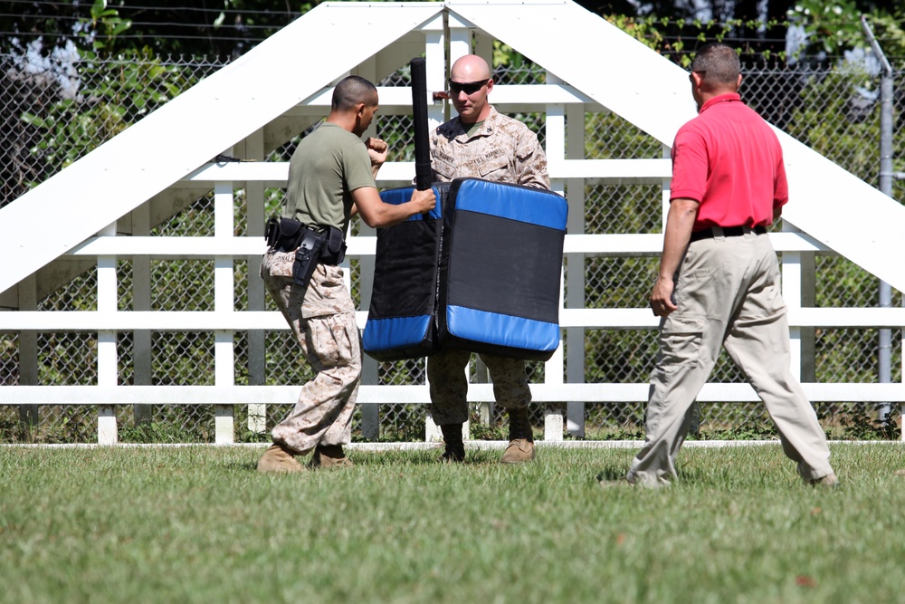 PMO OC Spray Training