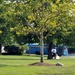 Chief selects gather trash around Lovell FHCC