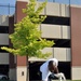 Chief selects gather trash around Lovell FHCC