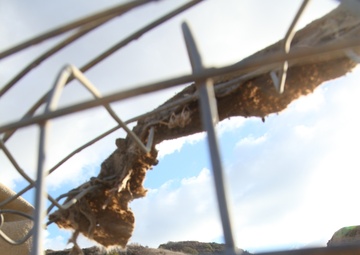 Practice makes perfect: Marines endure pre-deployment training