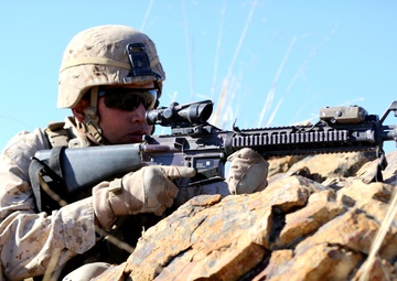 Marines combine multiple elements of firepower into one mission