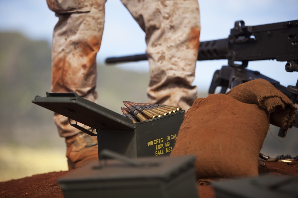 ‘Lava Dogs’ machine gunners conduct weapons package training