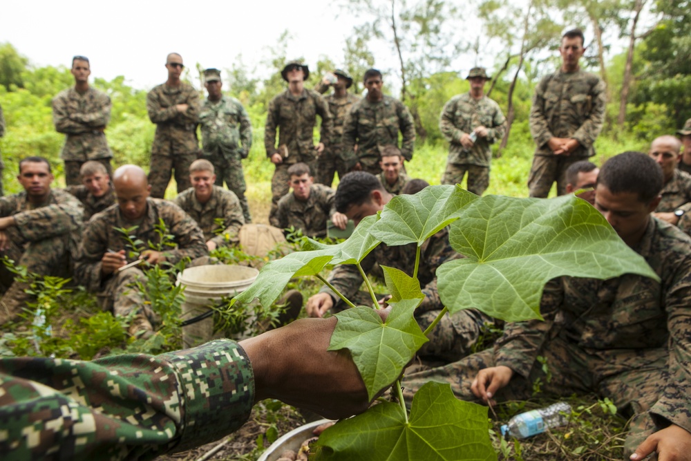 Survival of the fittest at PHIBLEX 14: Philippine Marines teach U.S. Marines jungle survival skills