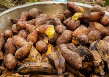 Survival of the fittest at PHIBLEX 14:Philippine Marines teach U.S. Marines jungle survival skills