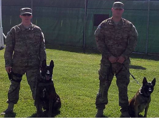Joint Task Force-Bravo's Joint Security Forces K-9 unit is a 'team of teams'
