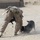 IED detection dogs prove to be infantry asset