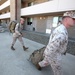 1st ANGLICO Marines return from deployment