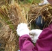 Station residents take time to harvest rice