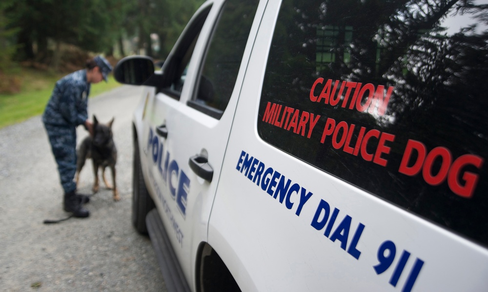 Military working dog training exercise