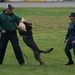 Military working dog training exercise