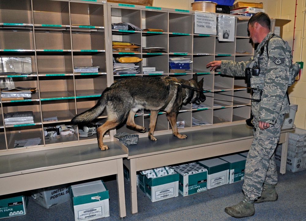 Dog, handler share unconditional bond