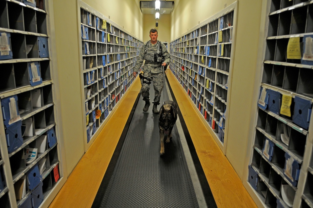 Dog, handler share unconditional bond